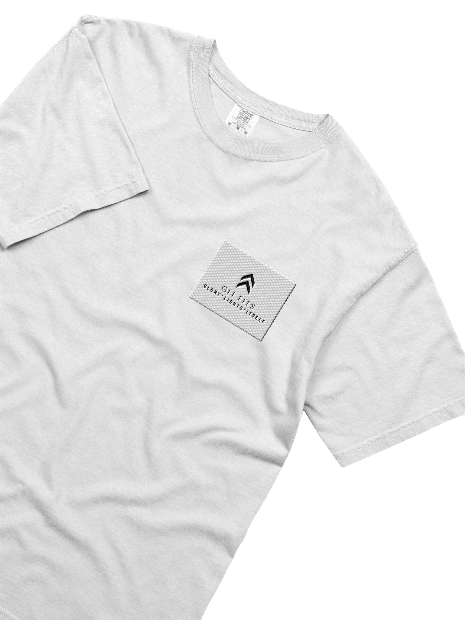 GLI FITS HEAVYWEIGHT T-SHIRT product image (2)