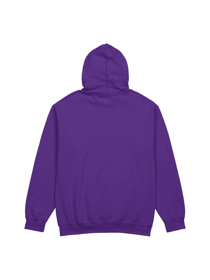 Vote Responsibly Hoodie product image (5)
