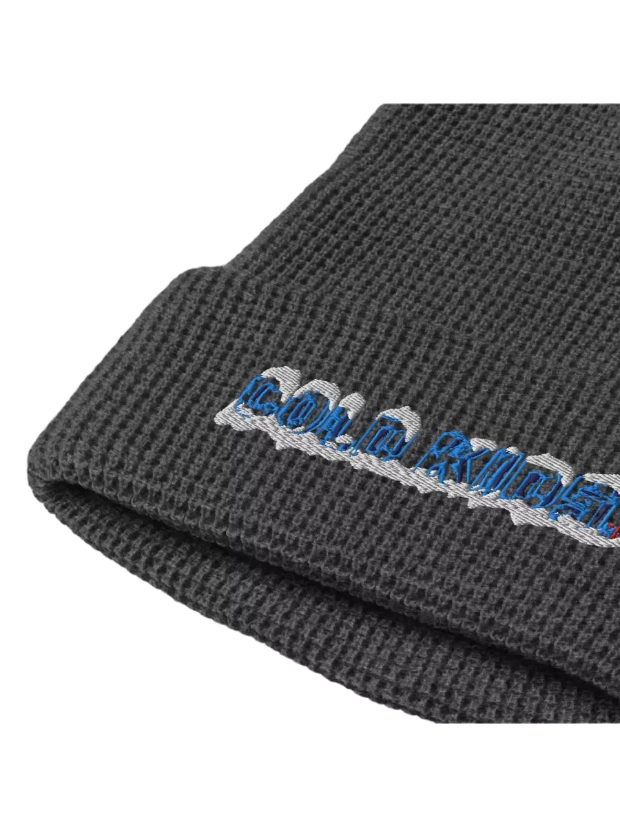 OG Cold Kids Waffle Beanie product image (2)