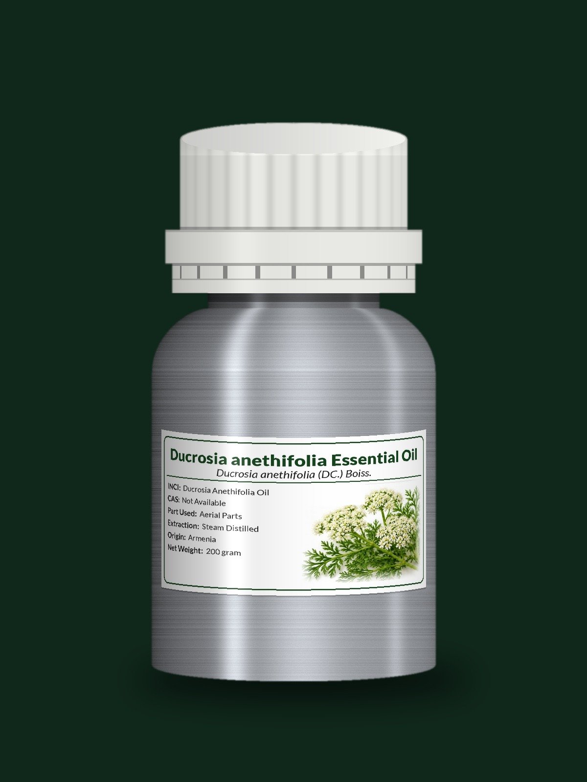 Ducrosia anethifolia Boiss. Essential Oil product image (1)