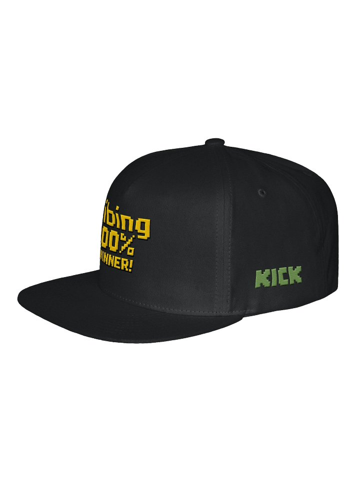 !vibing 100% Winner! Hat product image (9)