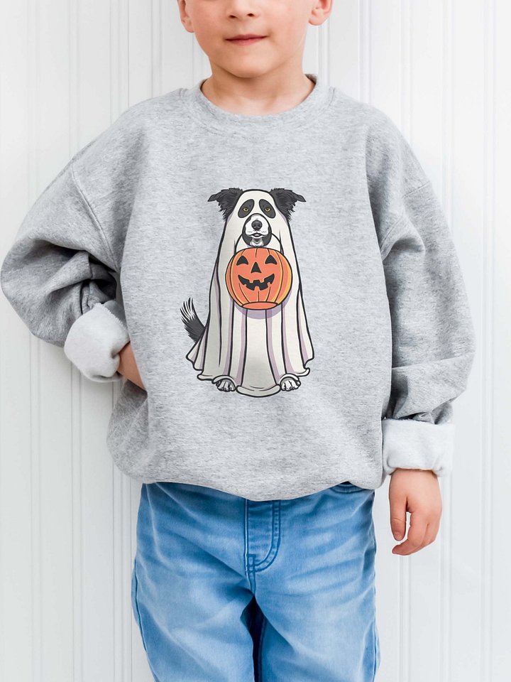 Halloween Border Collie(Black & White) Youth Sweatshirt product image (1)