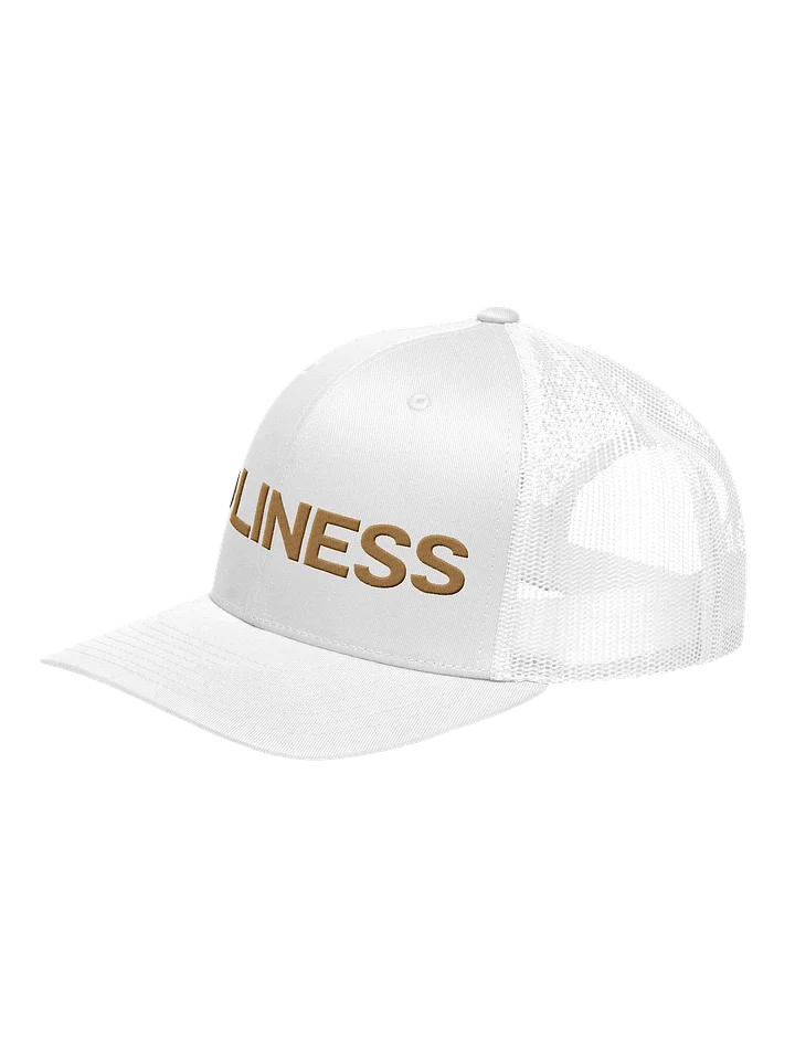 Holiness Hat product image (12)