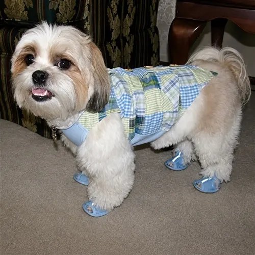 Dog Sandals product image (6)