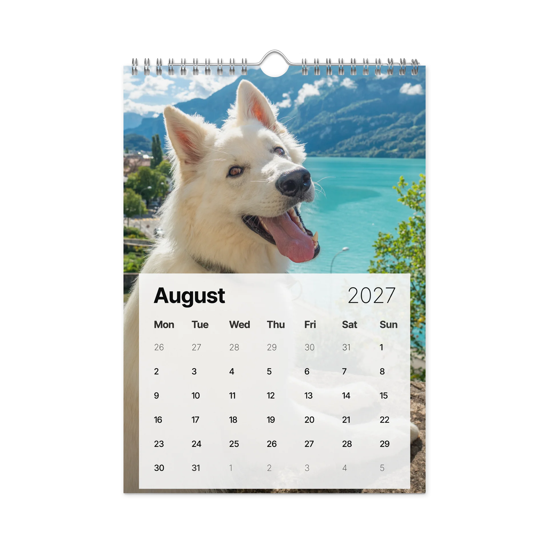 Lil Rasta Calendar 2027 product image (3)