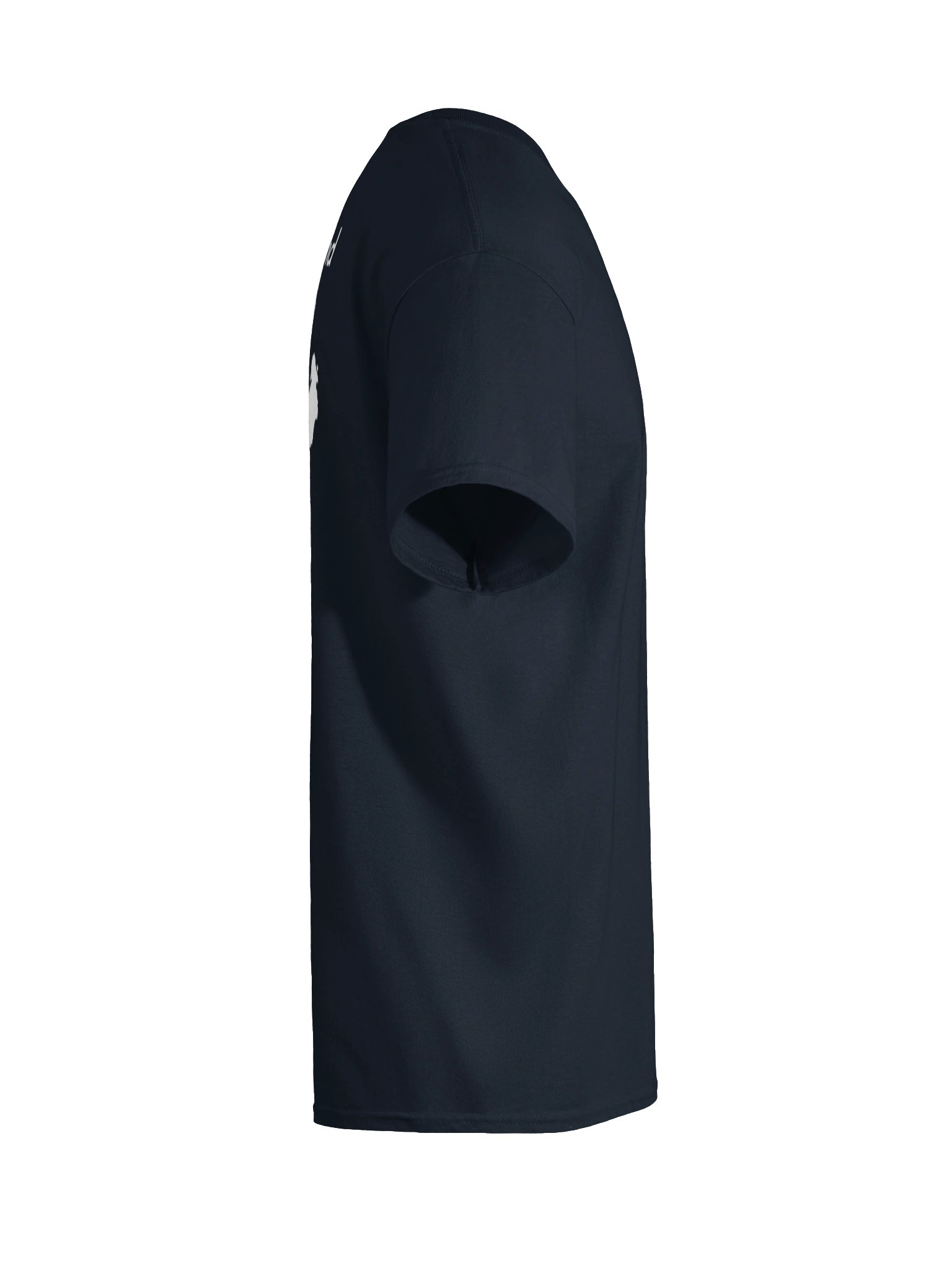 Always Lake Ontario product image (70)