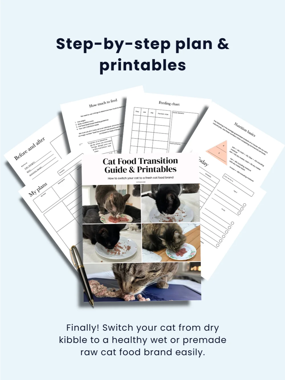 Food transition pdf printables - switch your cat from kibble to wet food ebook product image (2)