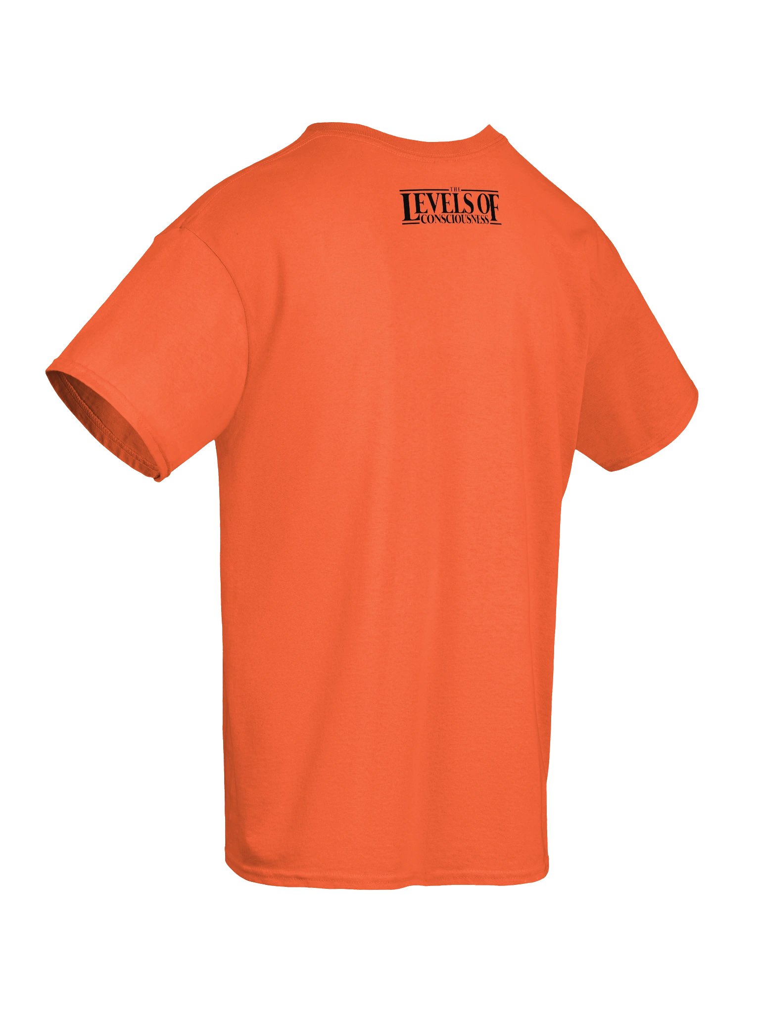 How To Pull The Veil Back Tee product image (130)