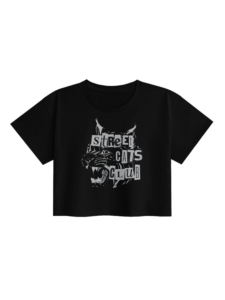Ransom Cropped Tee product image (1)