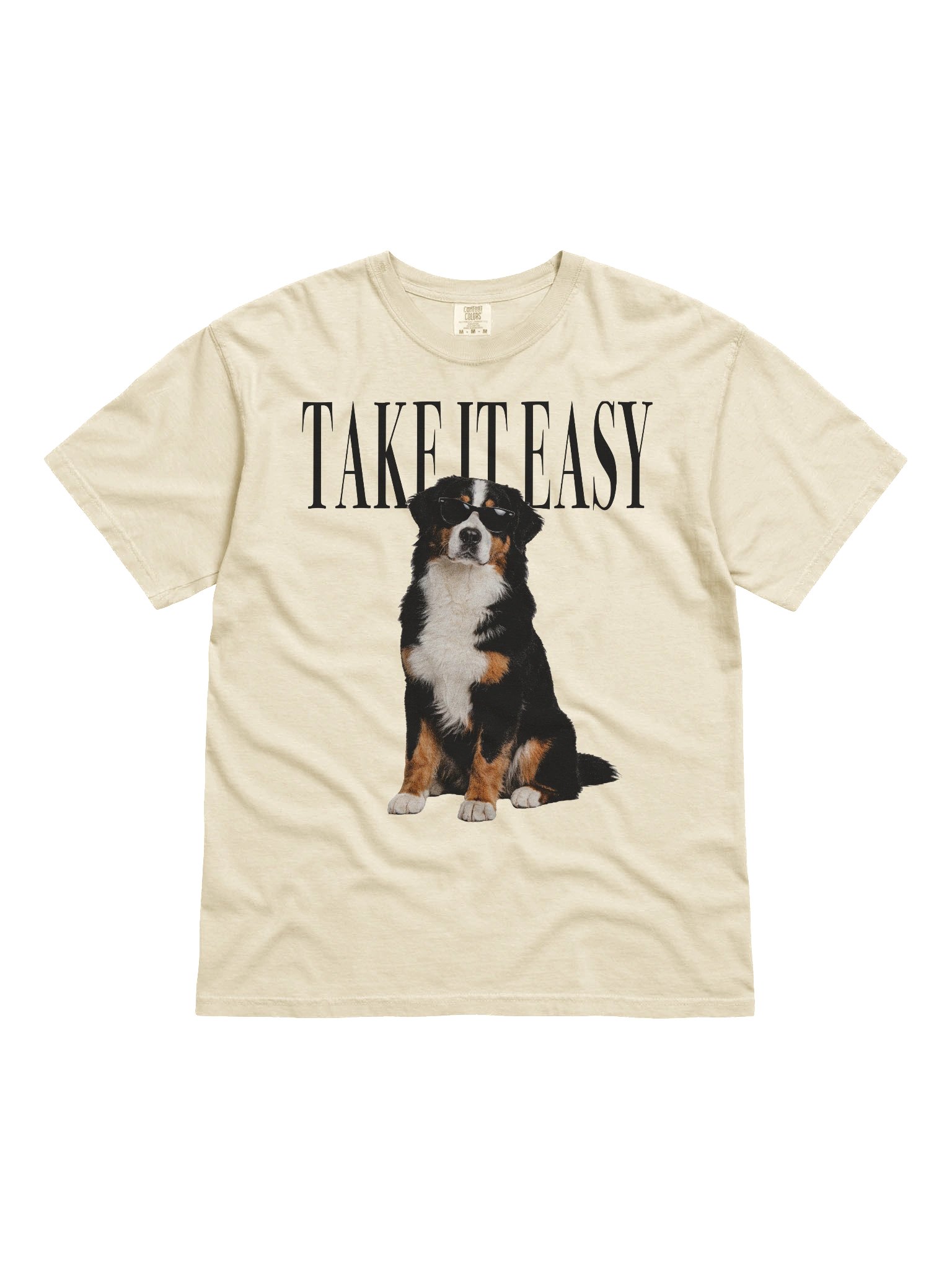 Take It Easy '90s Pop Vintage-Style T-Shirt for Bernese Mountain Dog Lovers product image (4)