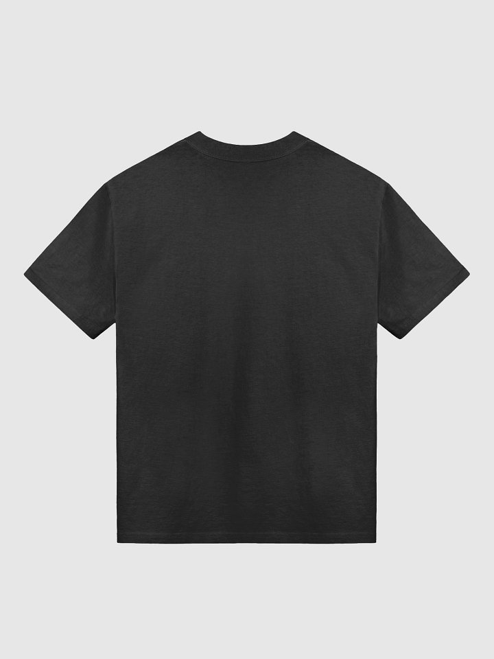 Fallen Angel Lessons of the past T-shirt product image (2)