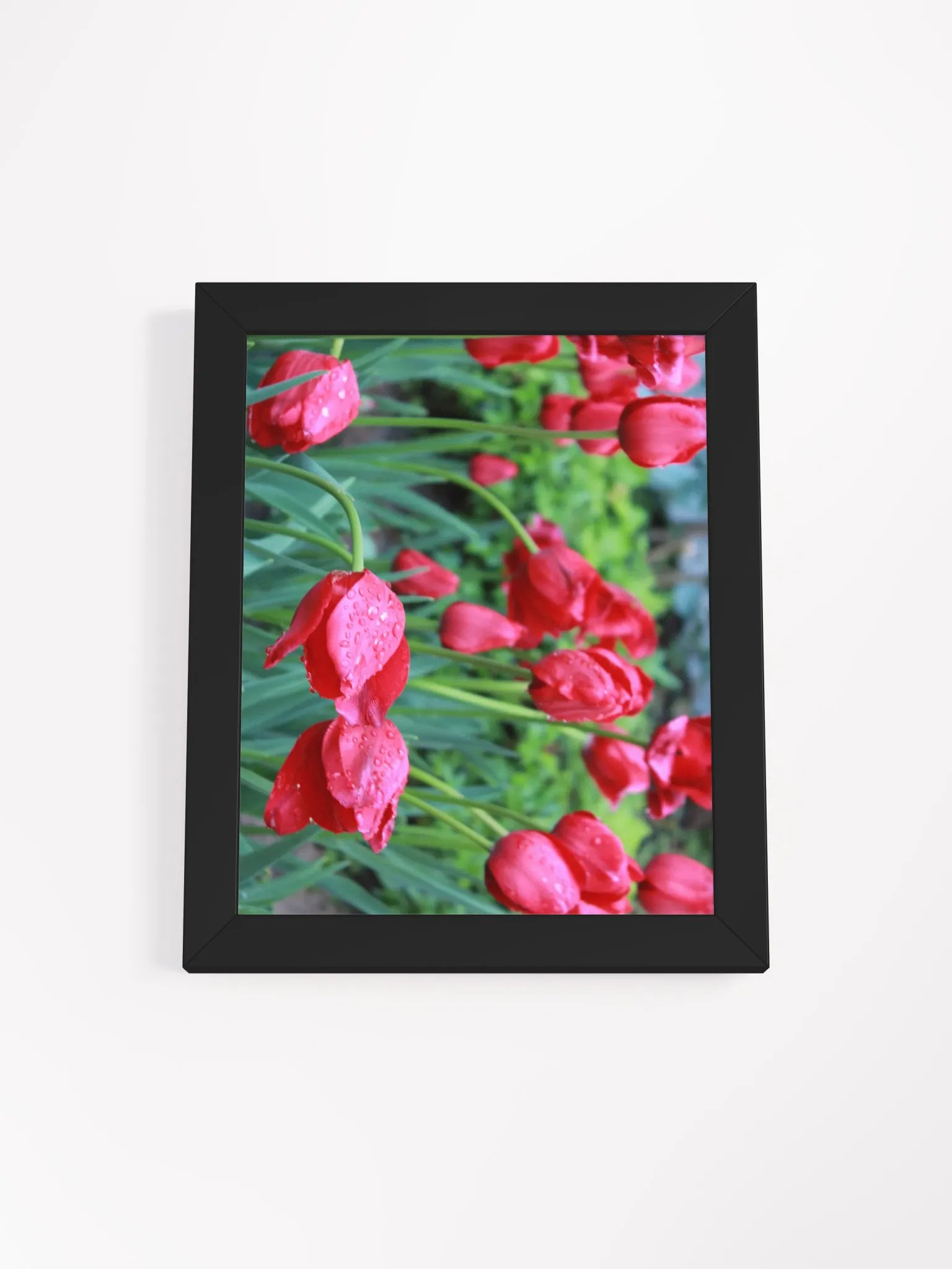 Tulips product image (2)