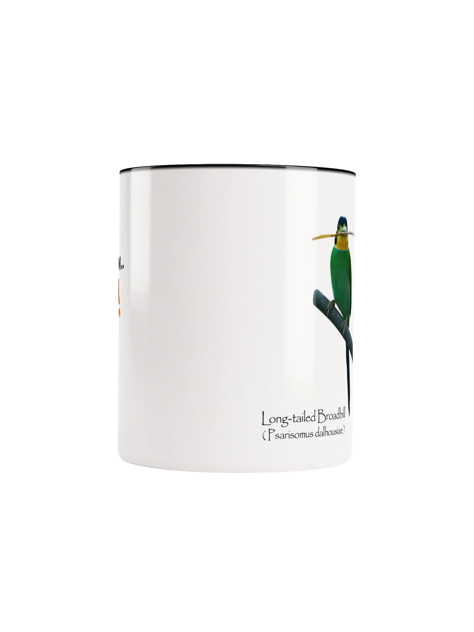 Long-tailed Broadbill mug. product image (5)