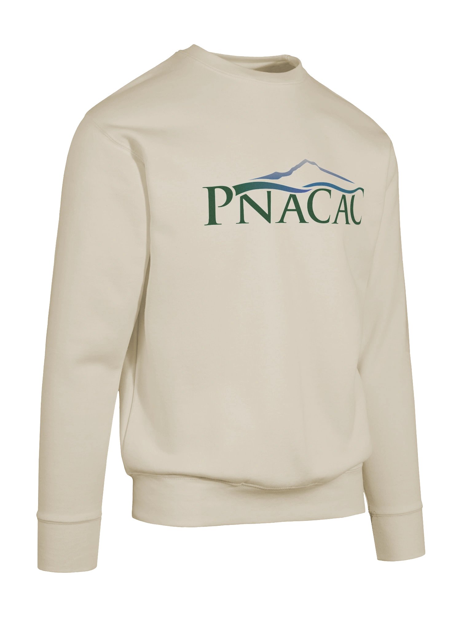 Sweatshirt - Color Logo product image (10)