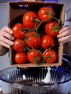 Whole fermented tomatoes. Poke them at the stem, layer with onion, dill, celery, garlic + hot peppers, then cover with a 4% salt brine and a little sugar. They basically soak up the entire jar as they ferment. The full fermentation system I use is linked in my bio. #fermentation #fermentedtomatoes #fermentedfoods #realfood #brinelab #dishbydavid