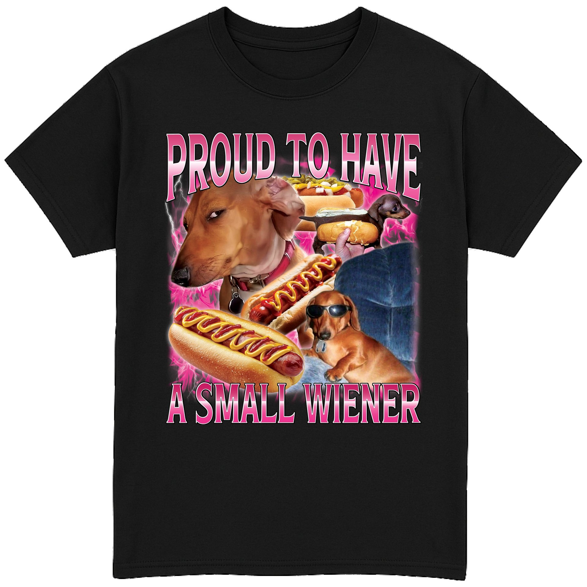 Proud To Have a Small Wiener T-Shirt product image (1)