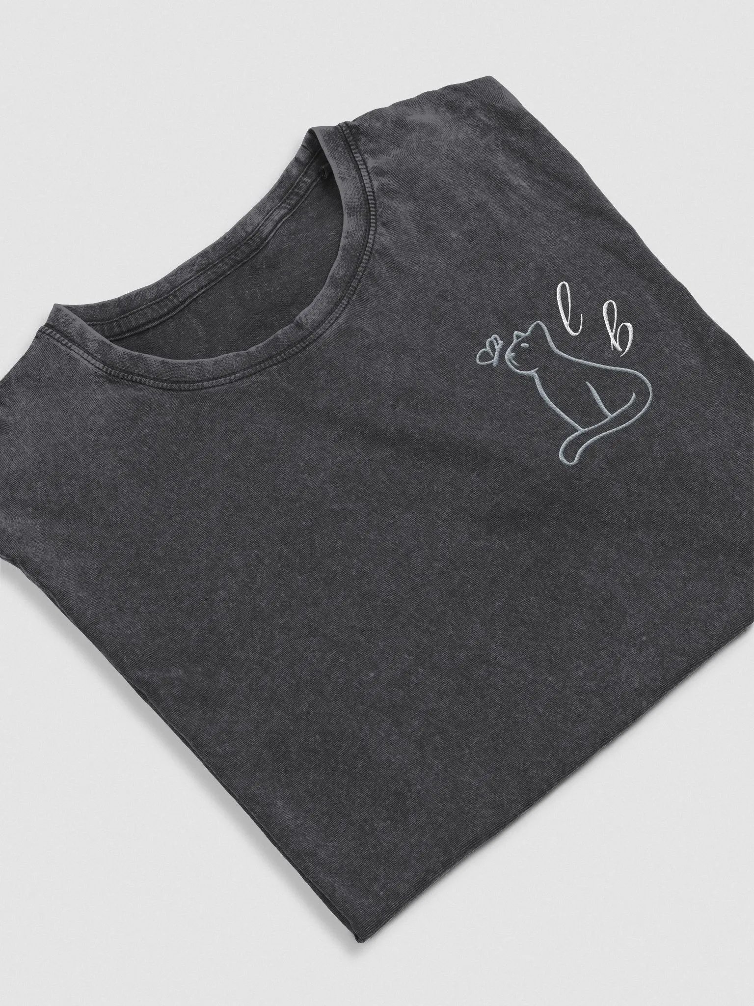 Cinder Embroidered Tee product image (4)