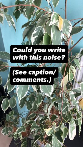 Can you guys hear this? (Add many more decibels when standing here in person.) My neighbour is having work done on their hous...