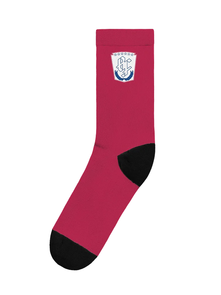 BF:AFC USA Kit Socks product image (1)