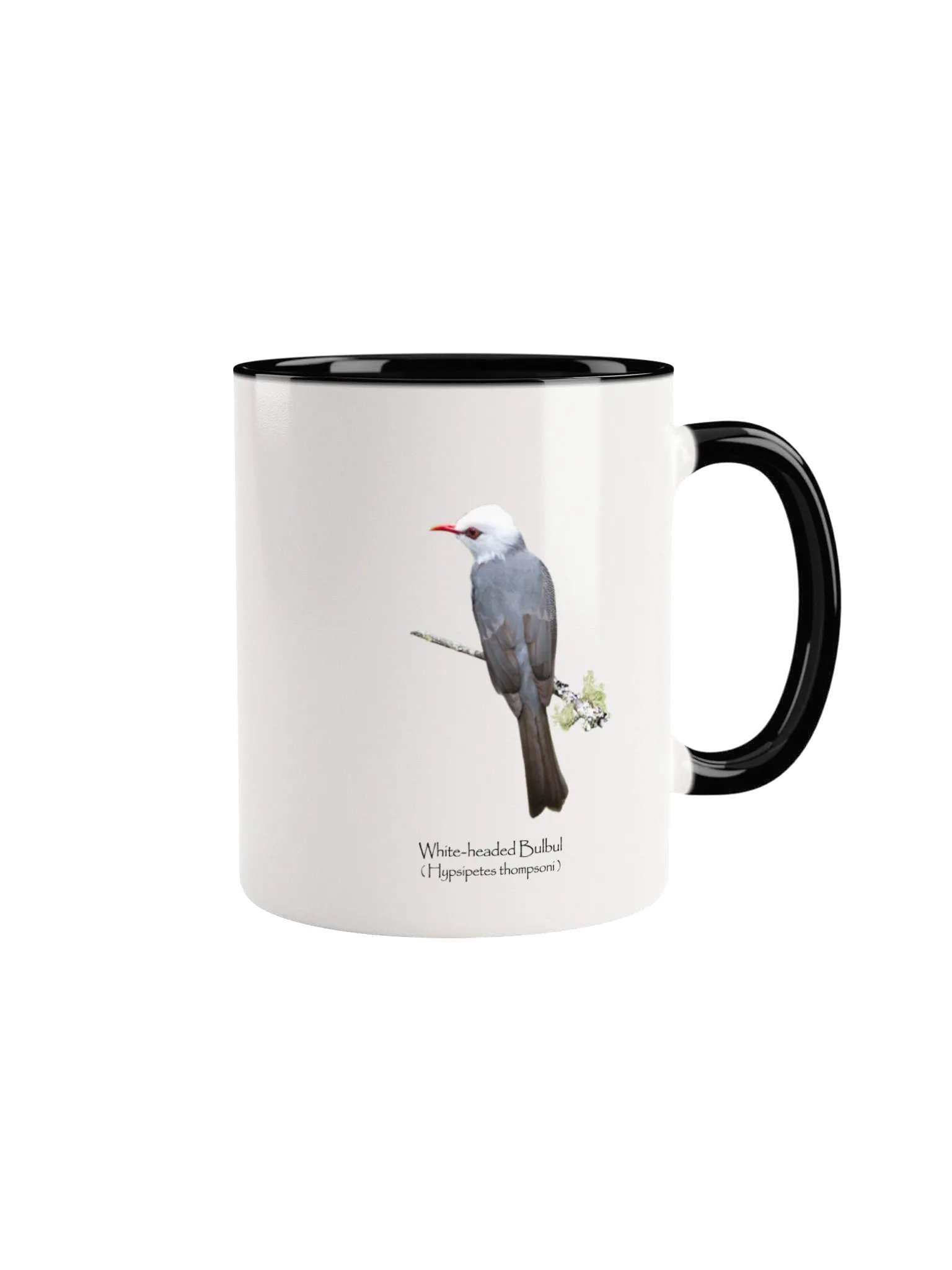 White-headed Bulbul mug product image (5)