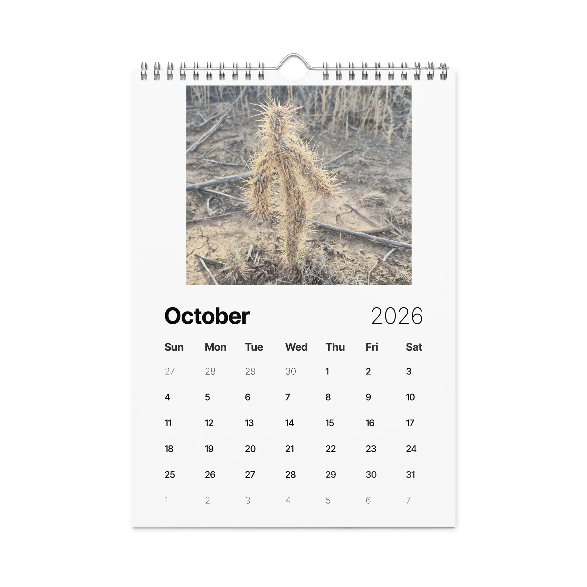 Valley of Fires Wall calendar product image (12)