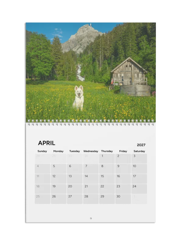 Lil Rasta Calendar 2027 product image (6)