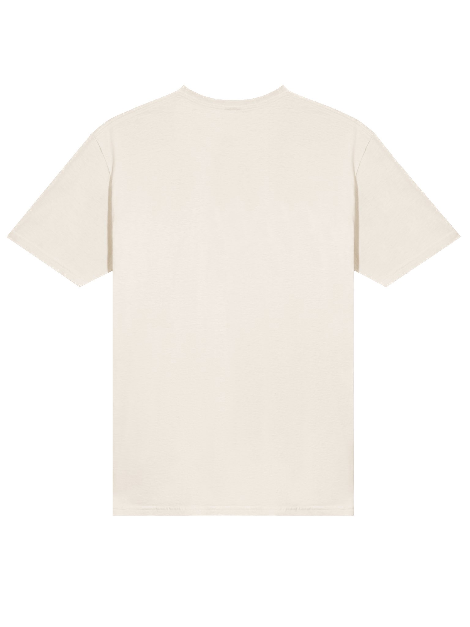 School Time Sally Rockstar T-Shirt product image (200)