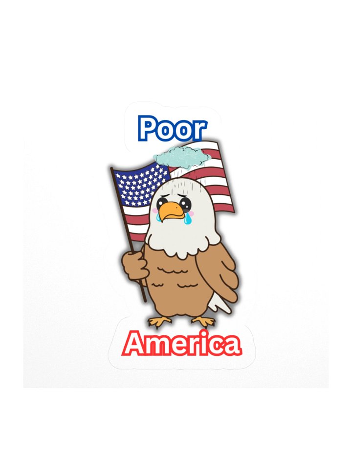 Poor America! product image (1)
