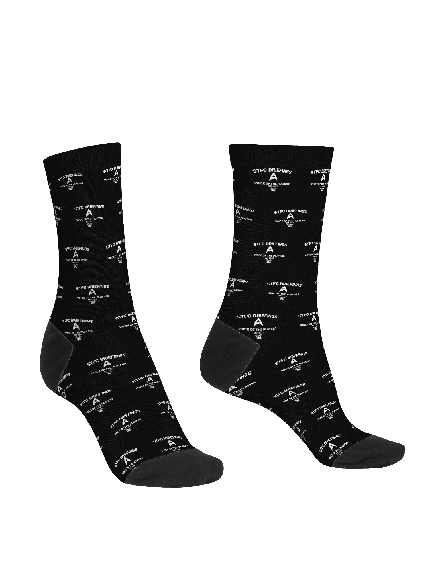 STFC Briefings EST Socks Black product image (3)