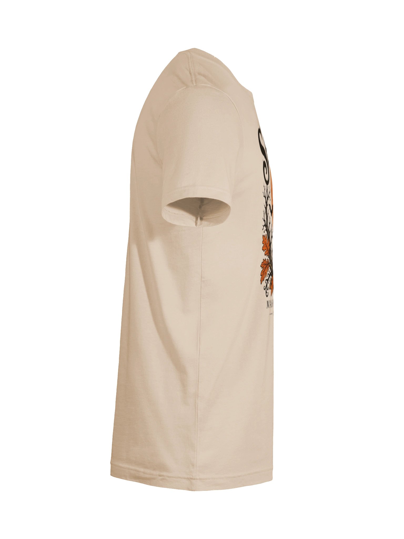 Salem: Raven, October 31 Tee product image (10)