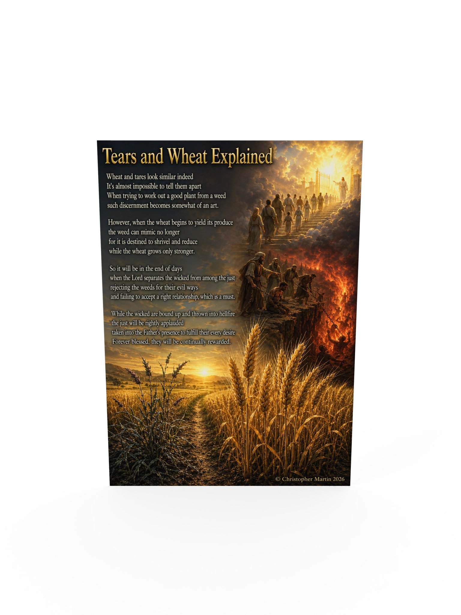 Tares and wheat explained product image (5)