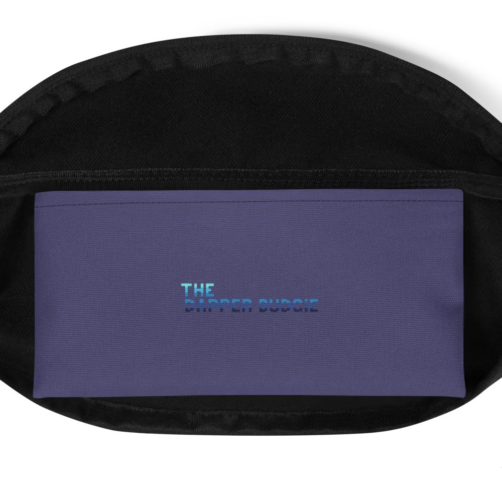 Simplified Aurora Fanny-Pack product image (4)