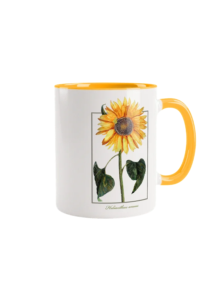 single sunflower (Helianthus anuus) - Ceramic Mug product image (1)