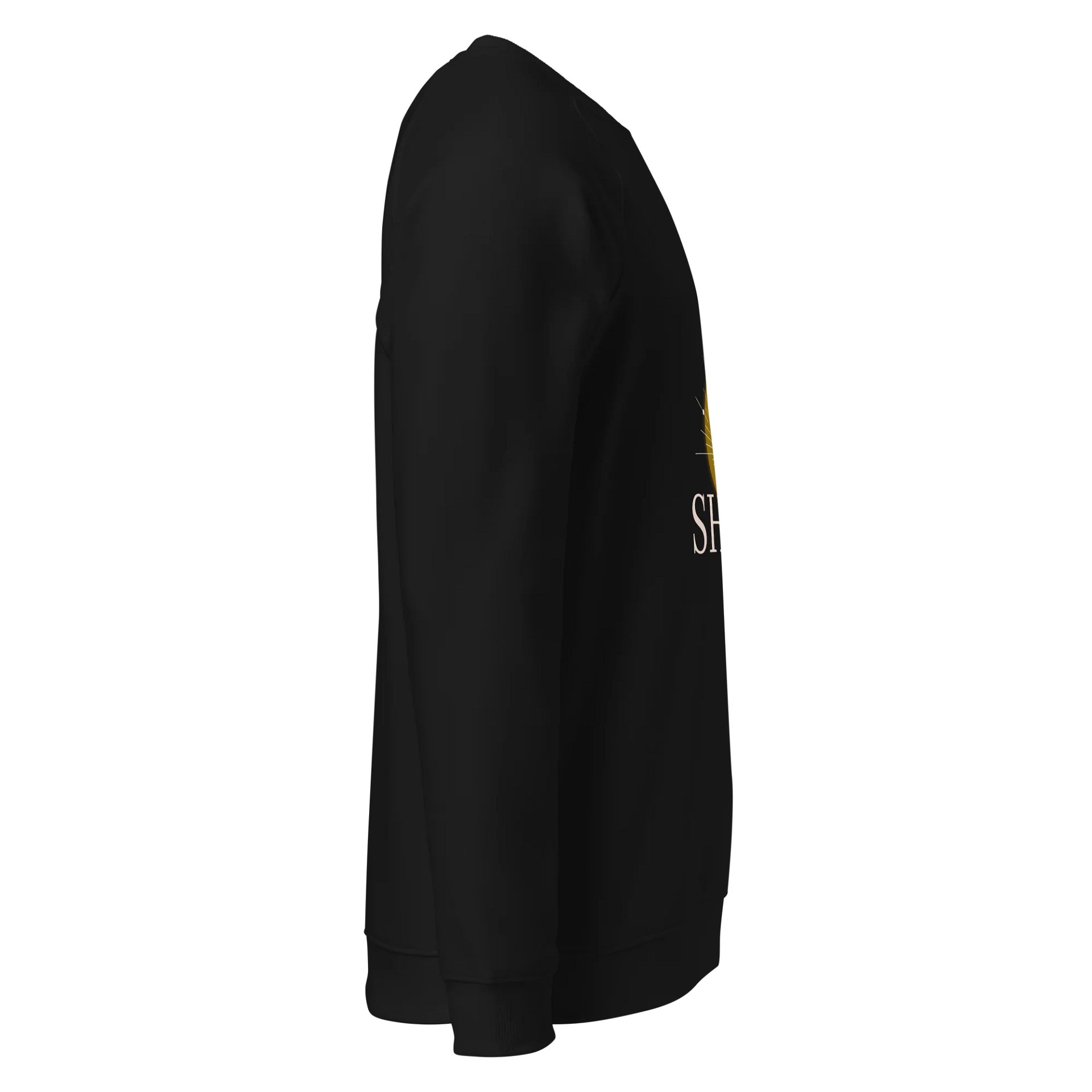 Women's Organic Raglan Sweatshirt ORFB0110 product image (3)