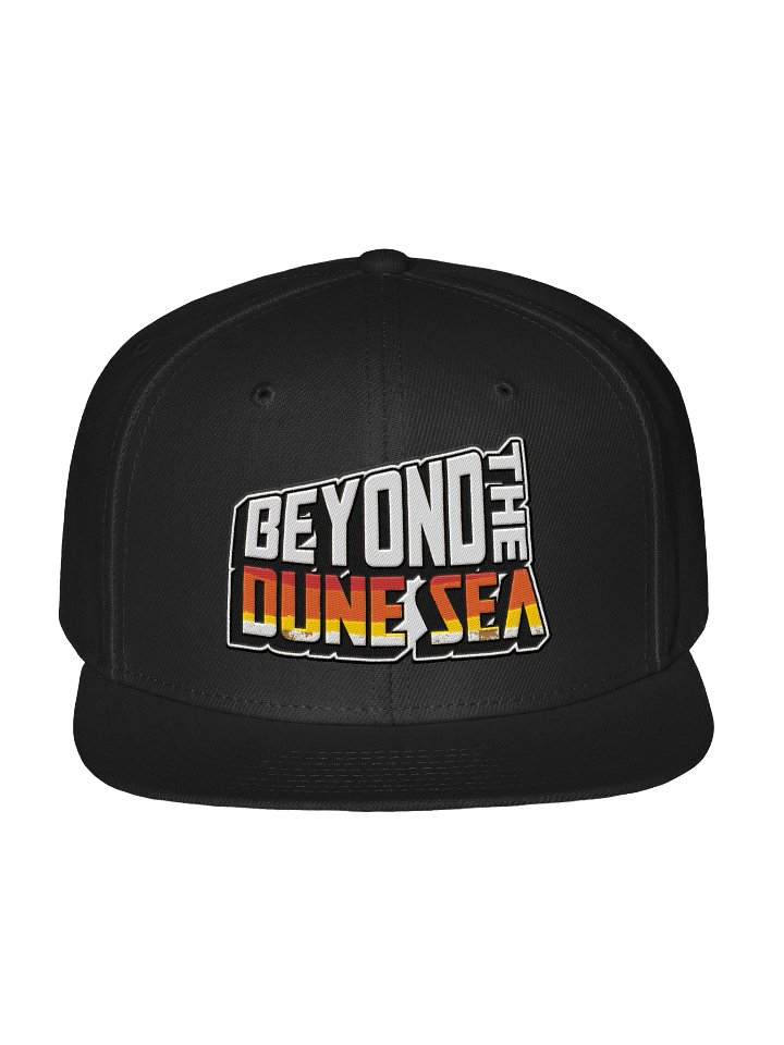 BTDS Snapback product image (1)