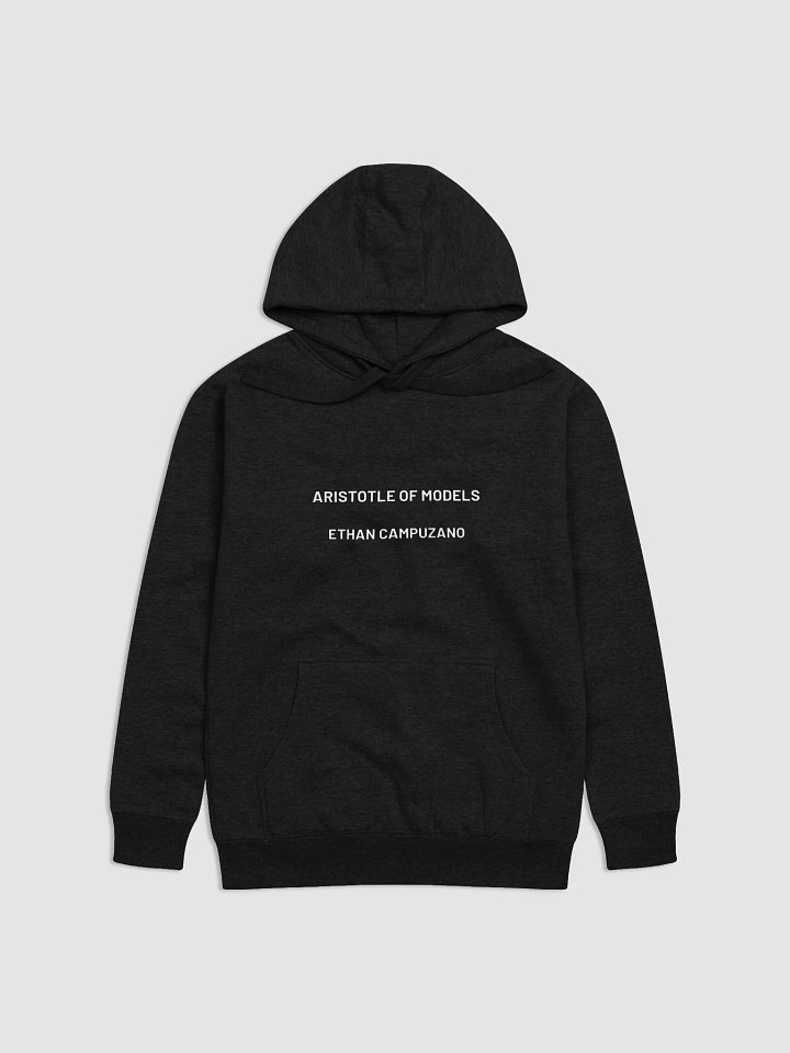 Aristotle Of Models Hoodie product image (6)