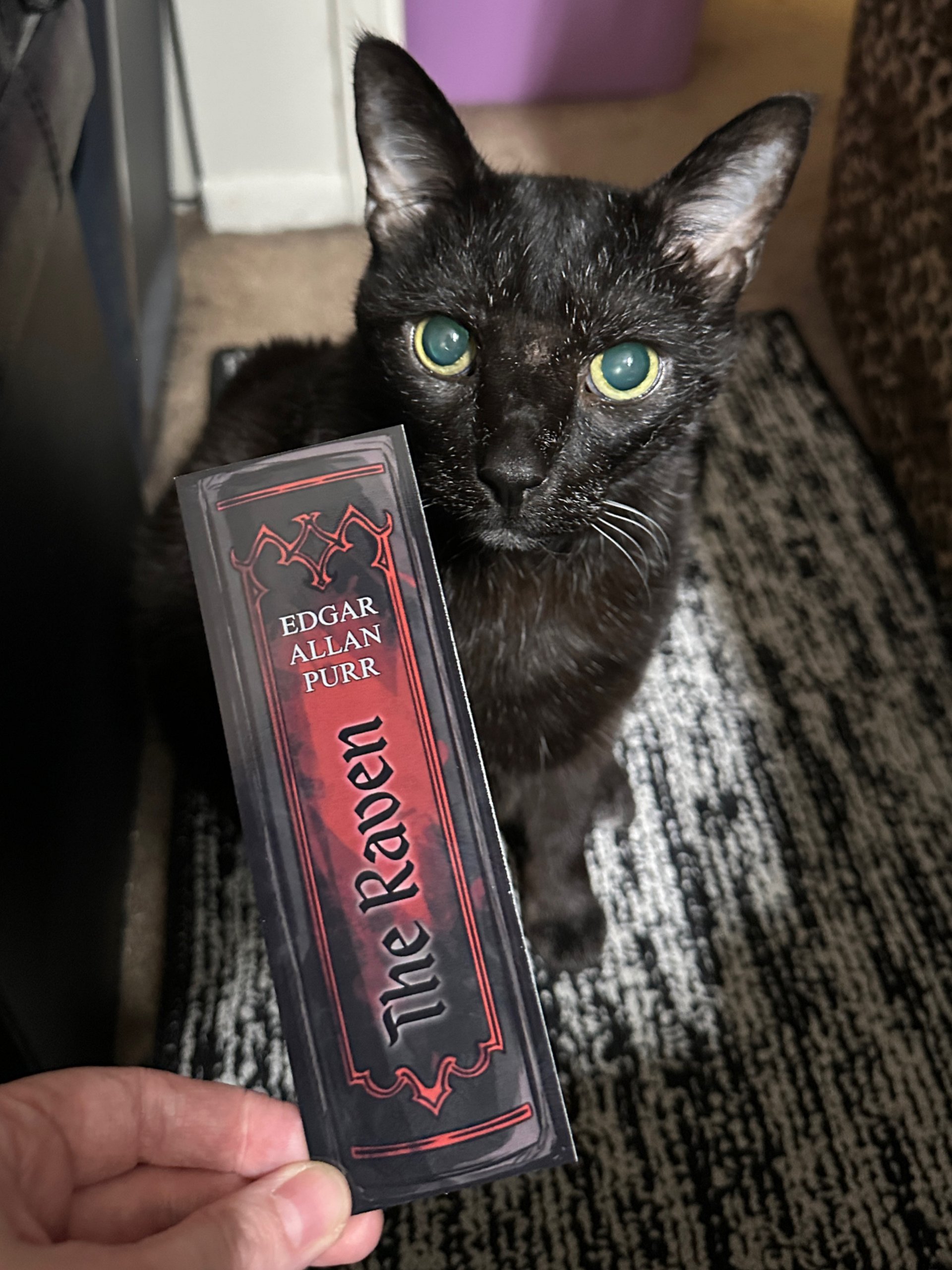 The Raven double-sided bookmark product image (2)