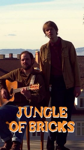 This song is called Jungle Of Bricks. 🏠

#indiemusic #guitar #folkrock #newmusic #originalsong