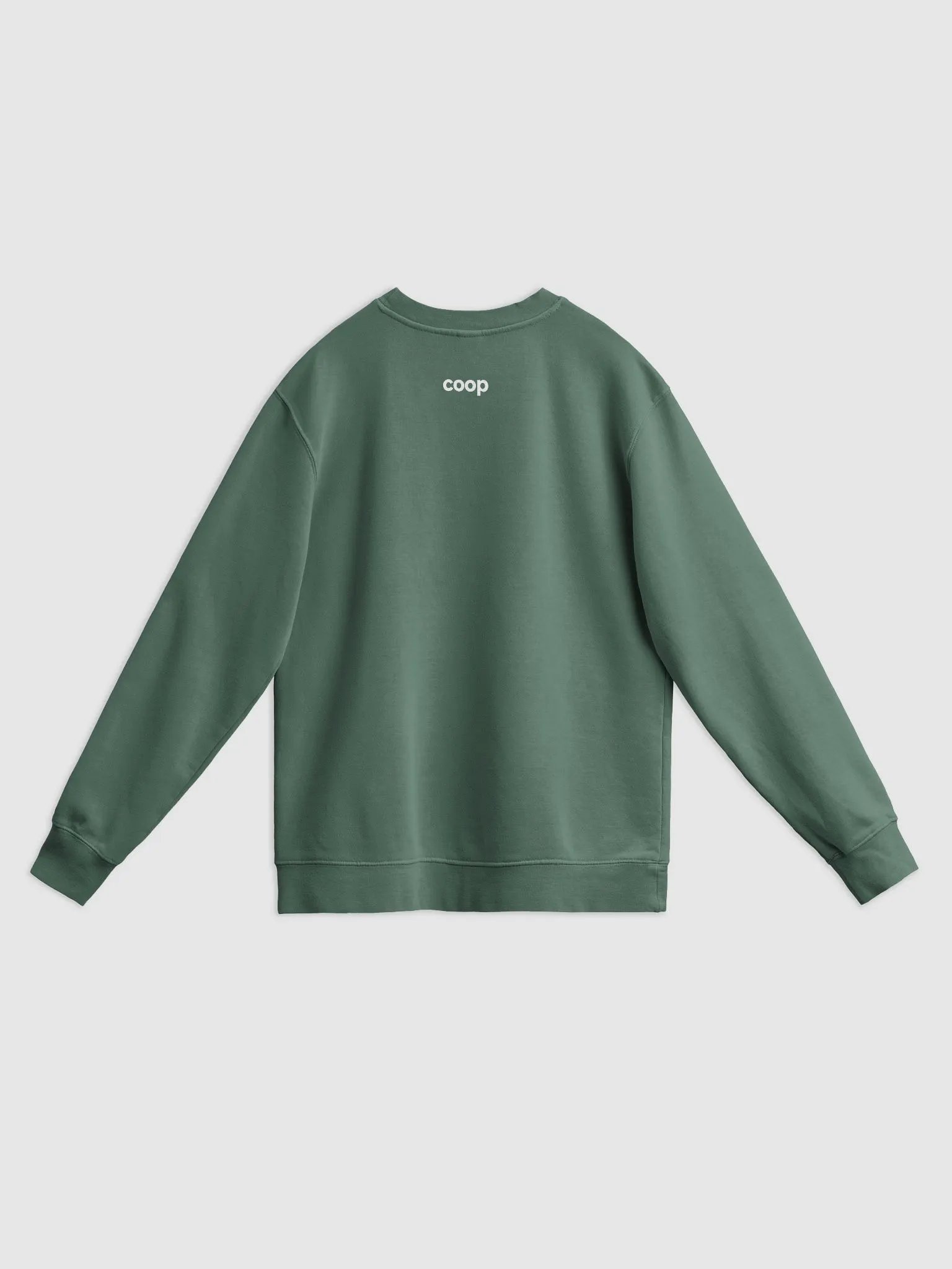 Chicks Dig Urban Farming Crew Neck product image (10)