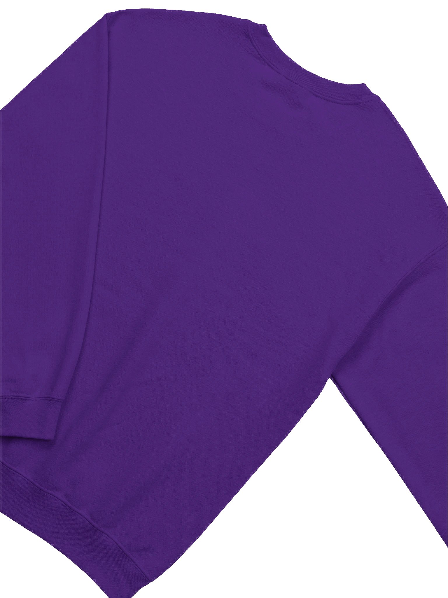 THE MORE YOU ERASE Skull Graphic Sweatshirt Water product image (2)