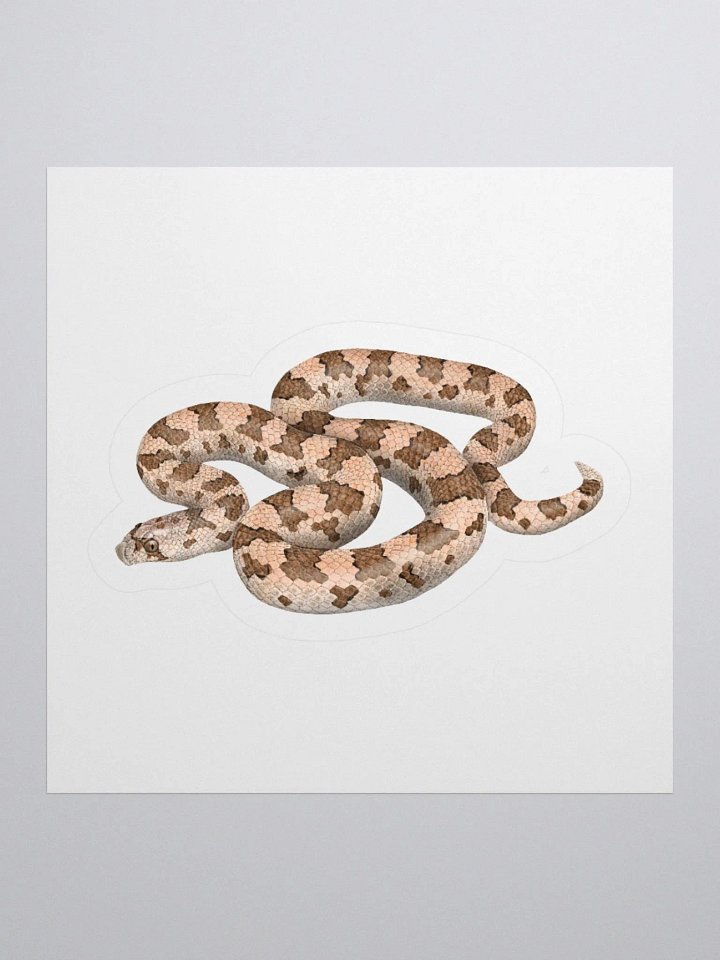 Die-Cut Sticker – Spotted Leaf-nosed Snake product image (1)