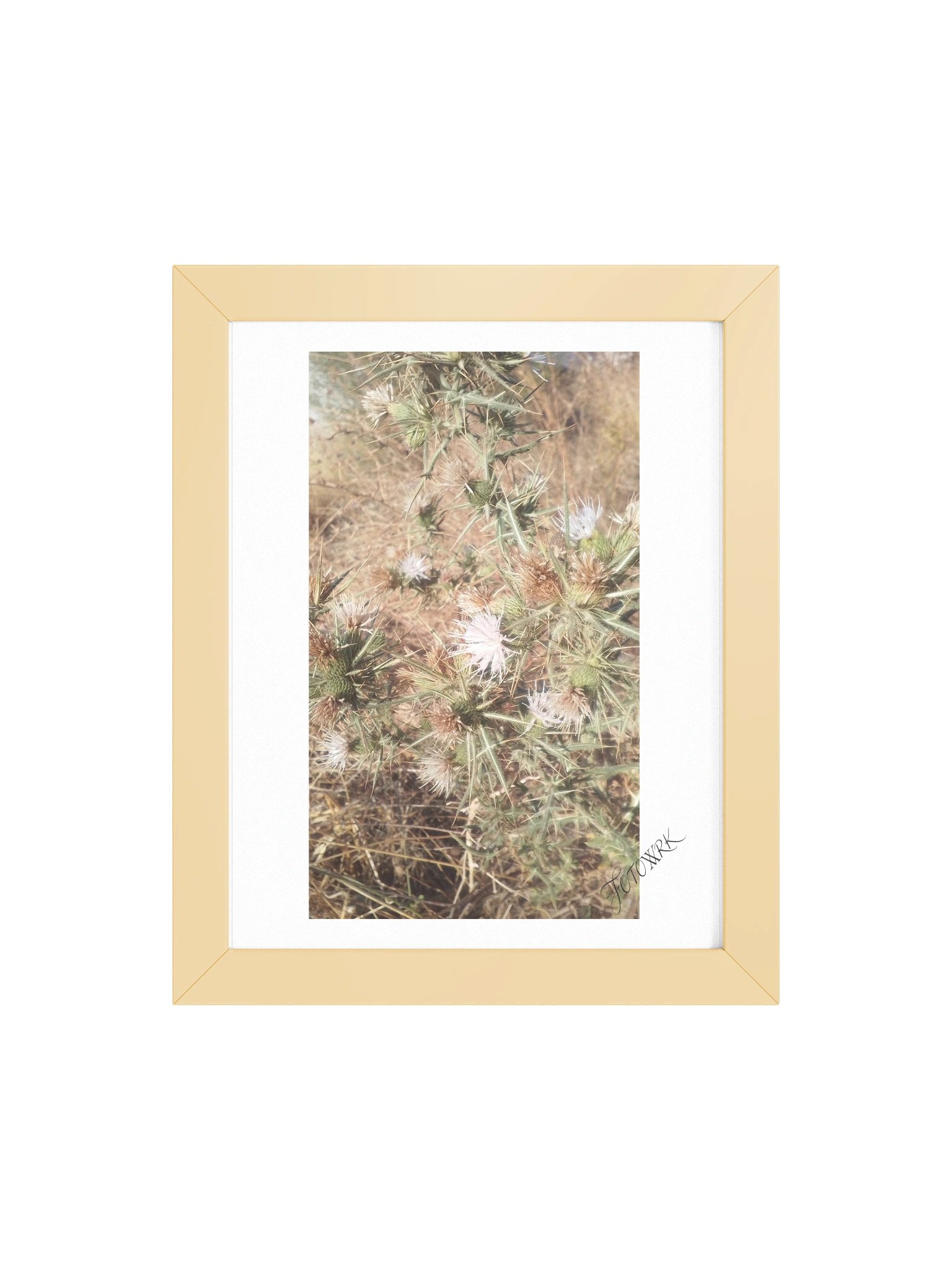 White Bloom Guardians – Fine Art Matte Poster product image (18)