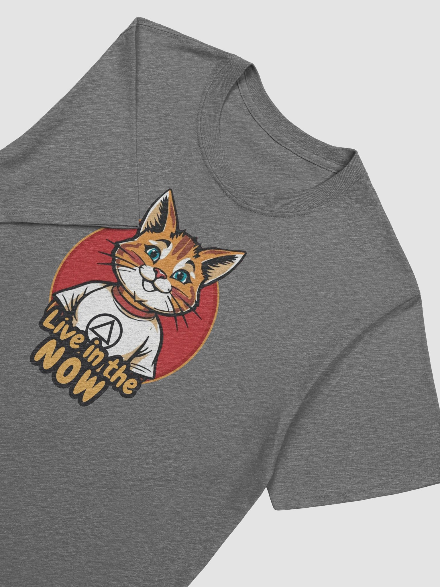 Live in the NOW Cat Lovers AA Recovery T-Shirt product image (2)