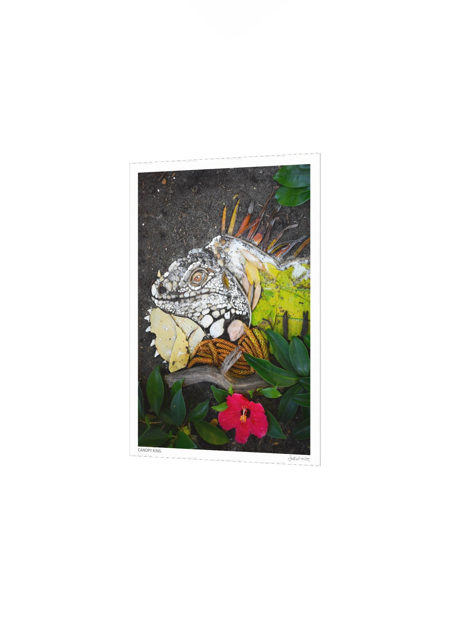 CANOPY KING | Fine Art Print product image (3)