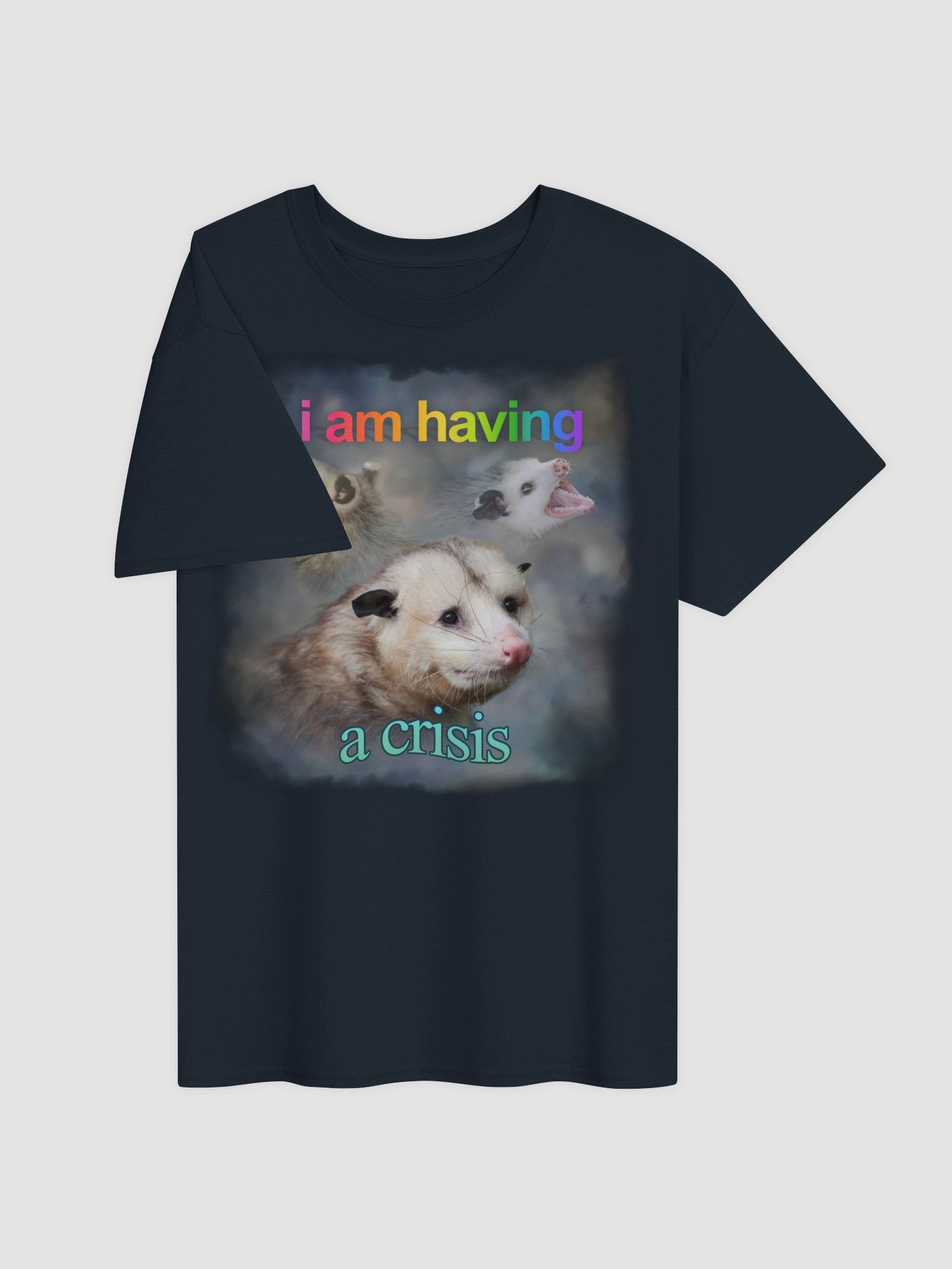 I am having a crisis possum T-shirt product image (27)
