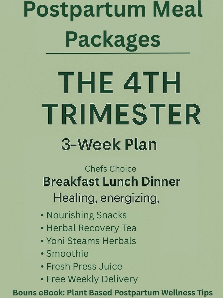 The 4th Trimester 3 Week Healing Support product image (1)