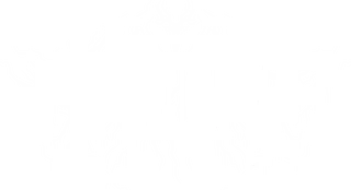 Hissybusa