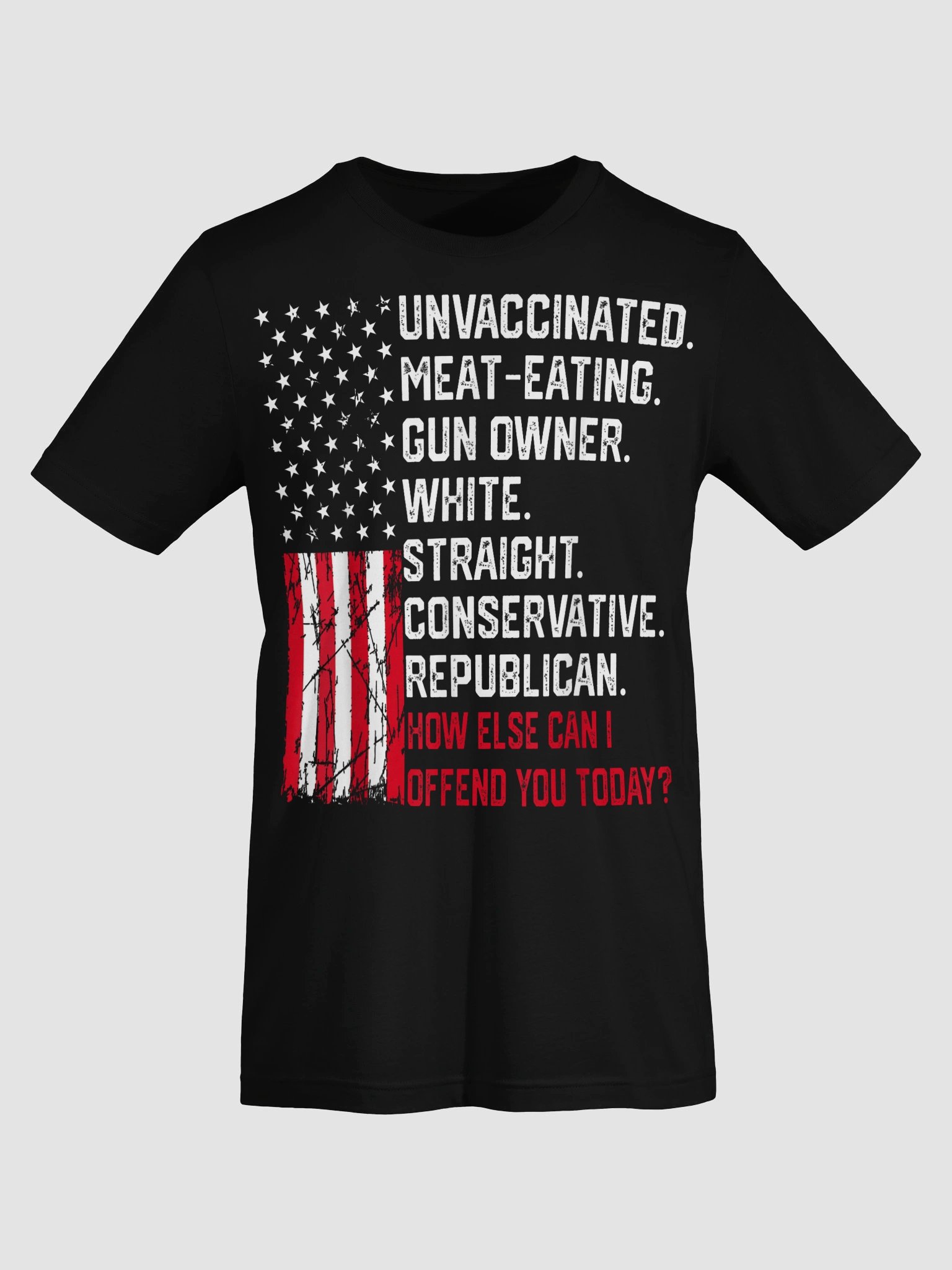 How Else Can I Offend You Today Political Statement T-Shirt product image (46)