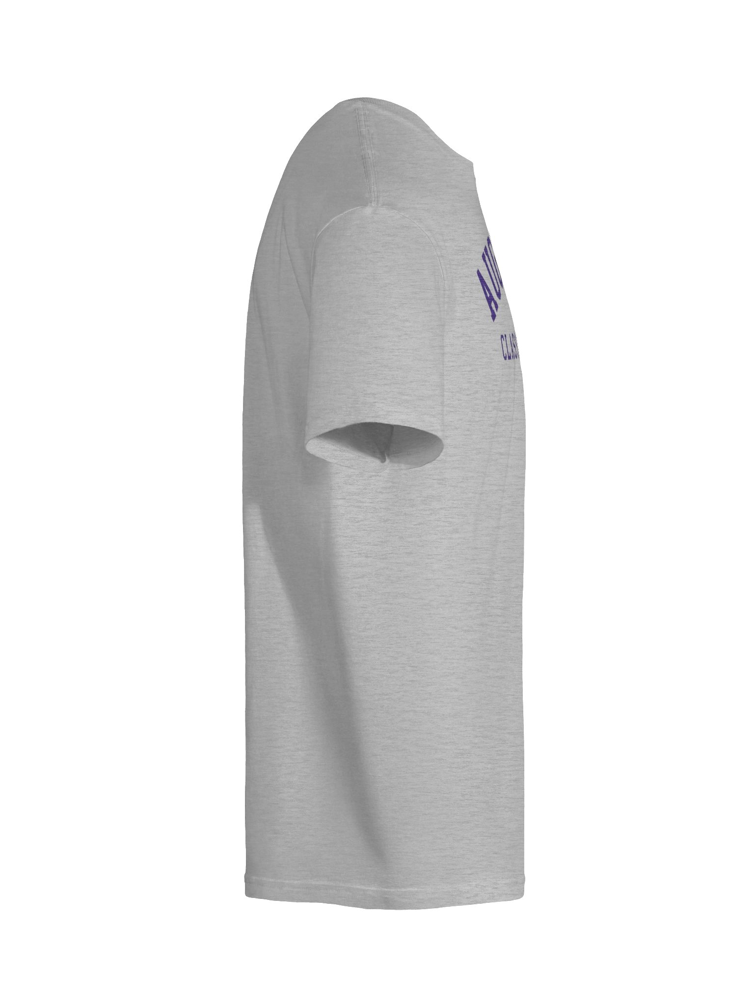 ACA T-Shirt - Gray product image (10)