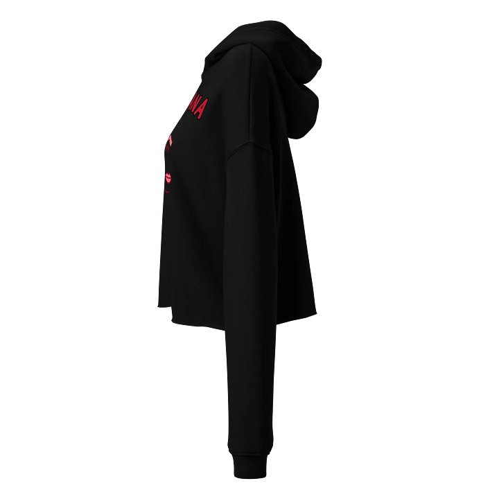 Mexicana Rose Crop Hoodie product image (5)